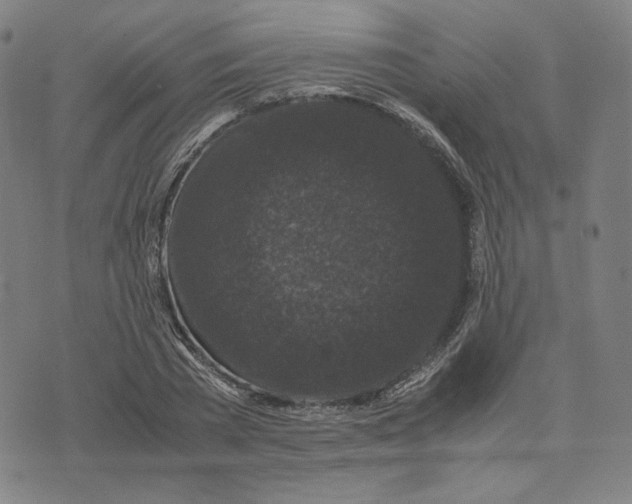 X0000071790785200607211621