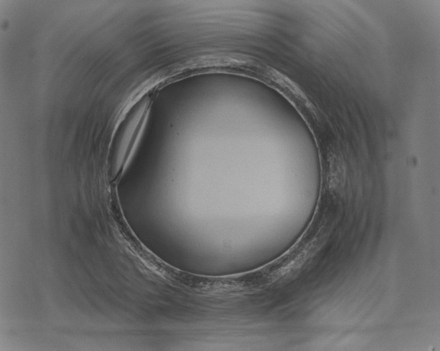 X0000071790786200607211621