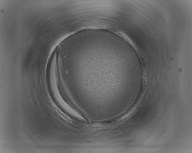 X0000071790787200607211621