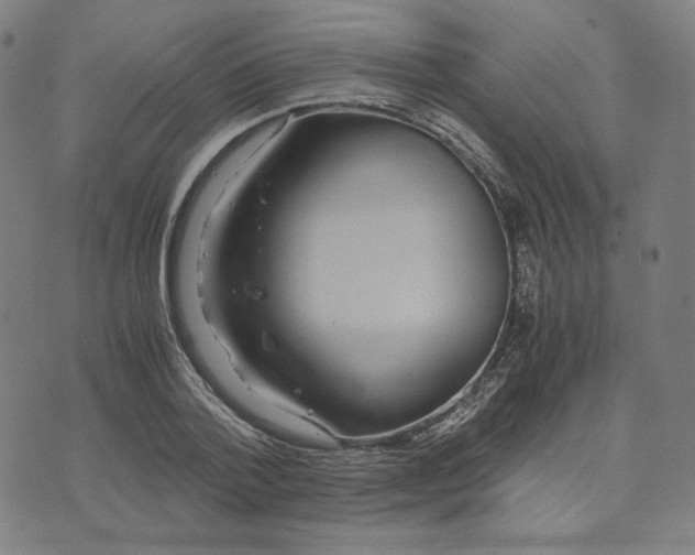 X0000071790788200607211621