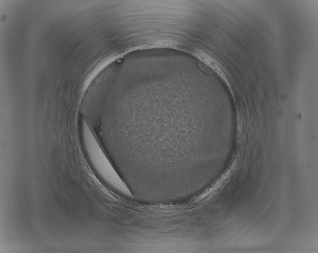 X0000071790789200607211621