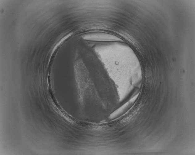 X0000071790790200607211621