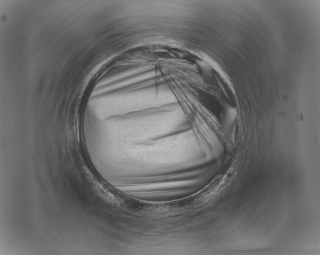 X0000071790791200607211621