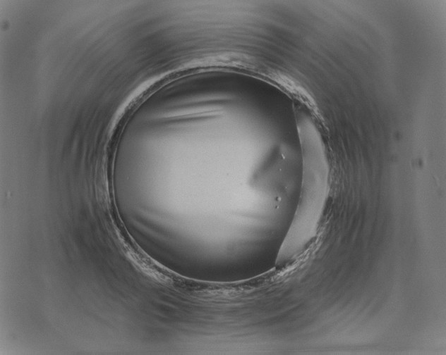 X0000071790792200607211621