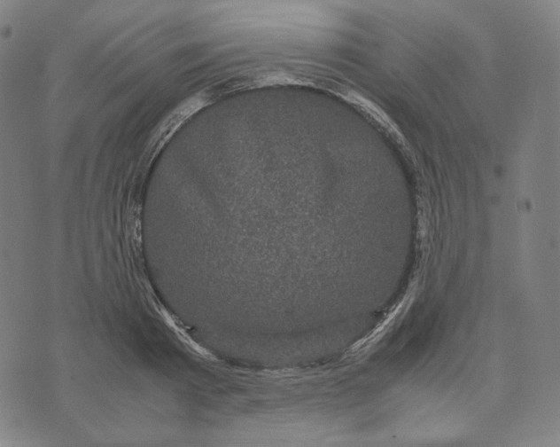 X0000071790793200607211621