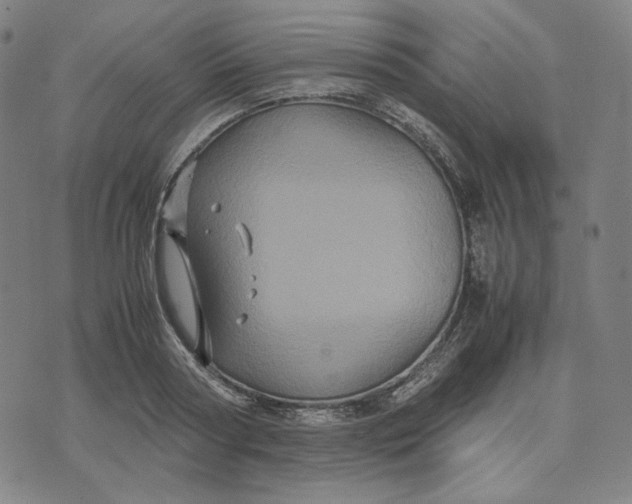 X0000071790794200607211621