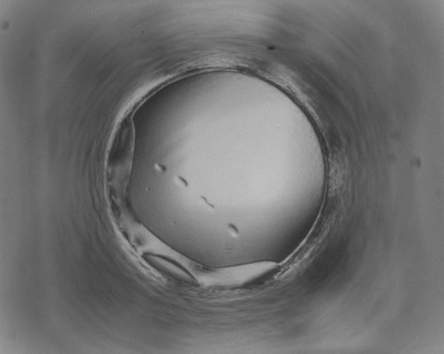 X0000071790795200607211621