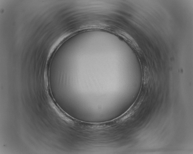 X0000071790796200607211621