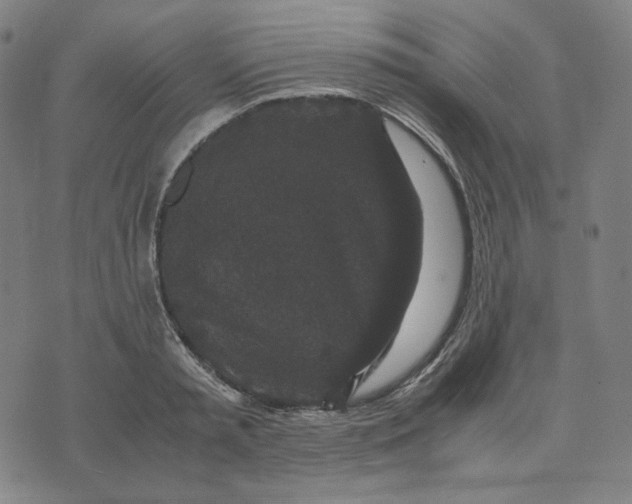 X0000071790797200607211621