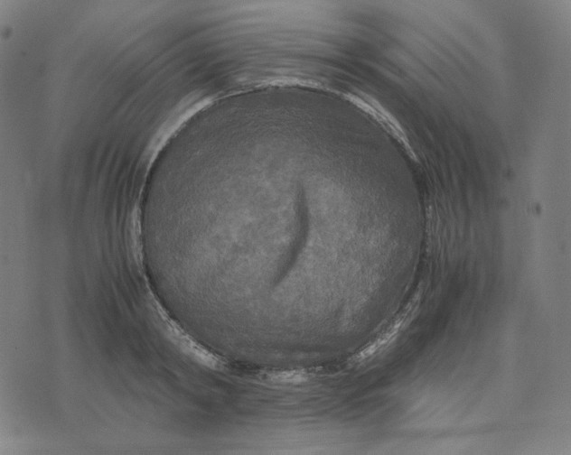 X0000071790798200607211621