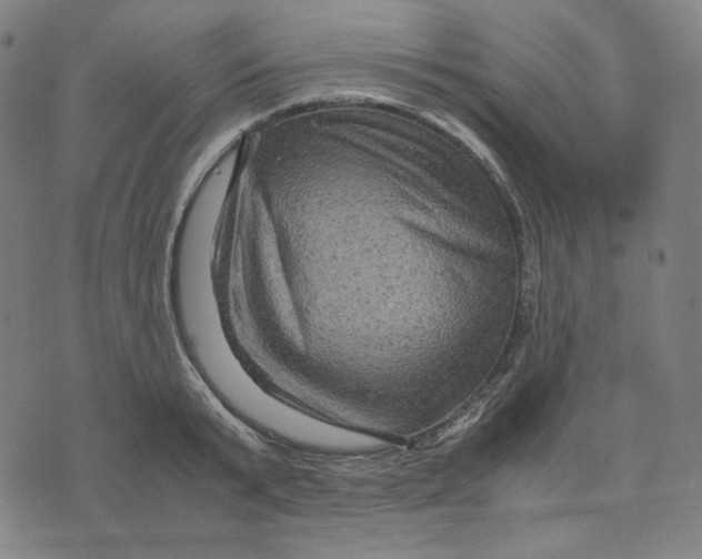 X0000071790799200607211621