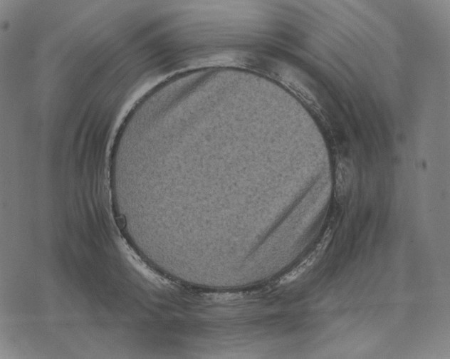 X0000071790800200607211621