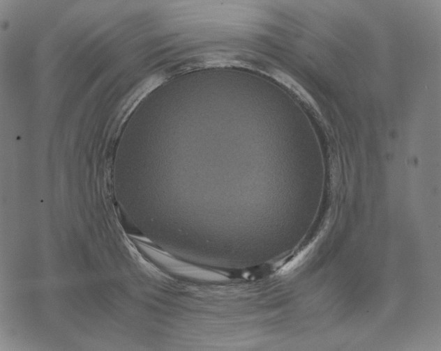 X0000071790801200607211621