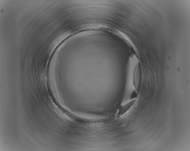 X0000071790802200607211621