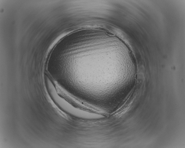 X0000071790803200607211621