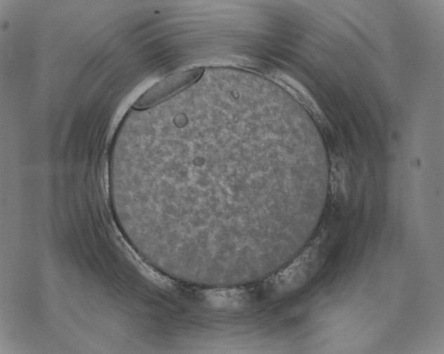 X0000071790804200607211620