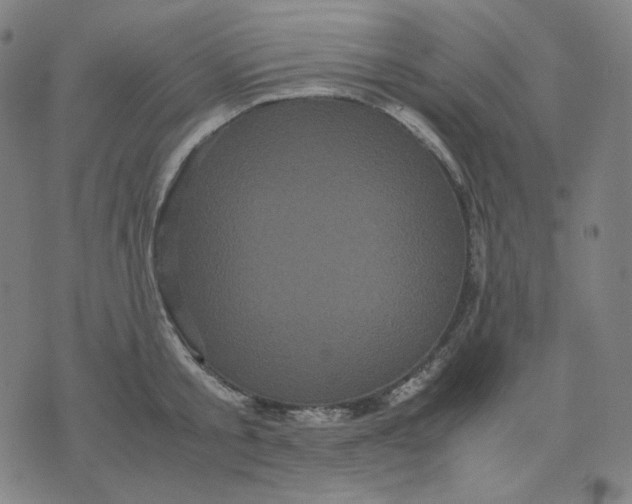 X0000071790805200607211620