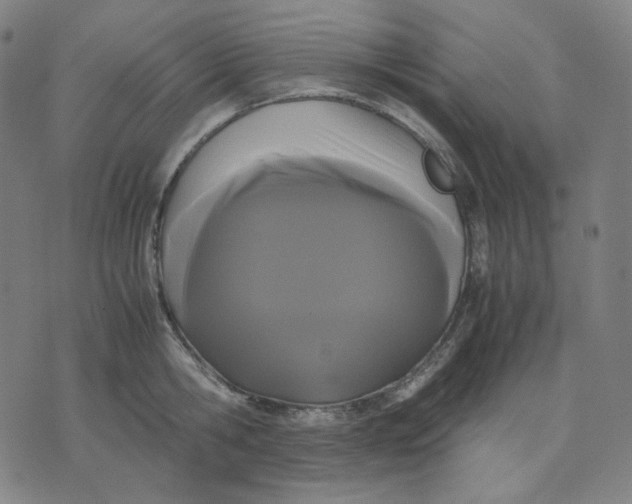 X0000071790806200607211620