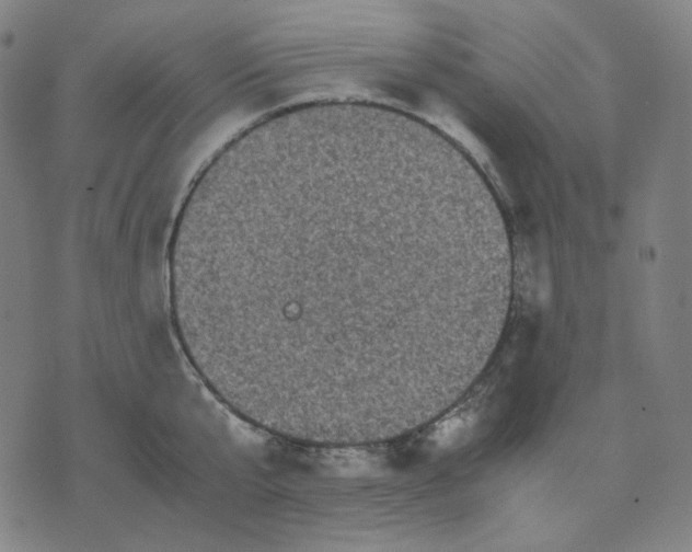 X0000071790807200607211620