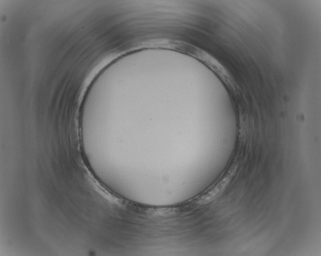 X0000071790808200607211620