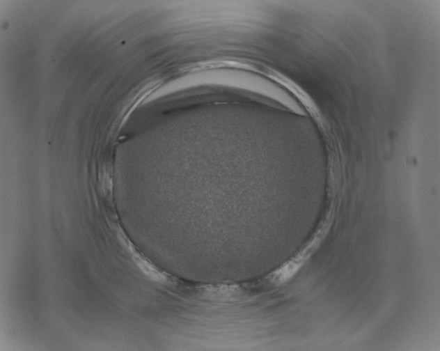 X0000071790809200607211620