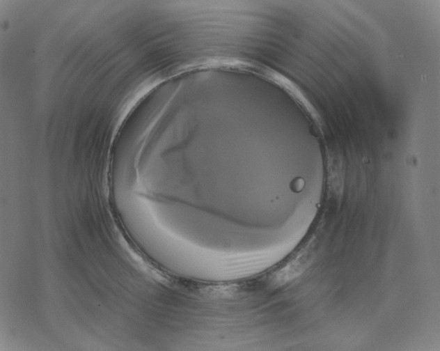 X0000071790810200607211620