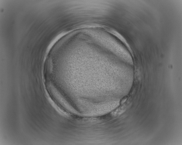 X0000071790811200607211620