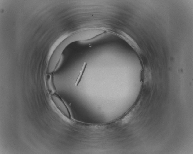 X0000071790812200607211620