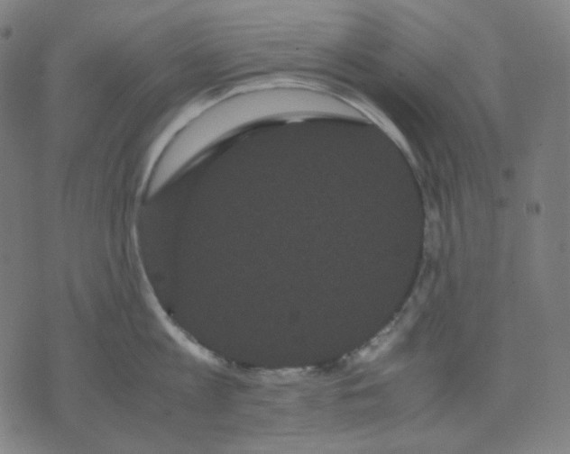 X0000071790813200607211620