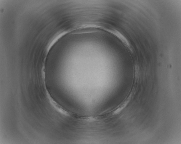 X0000071790814200607211620