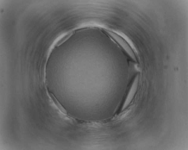 X0000071790815200607211620