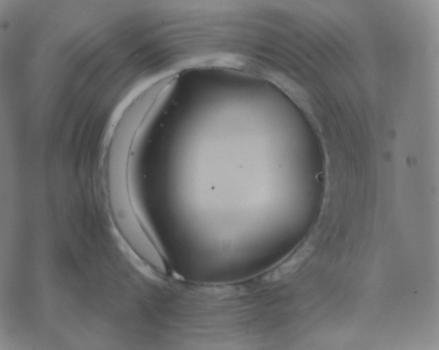 X0000071790816200607211620