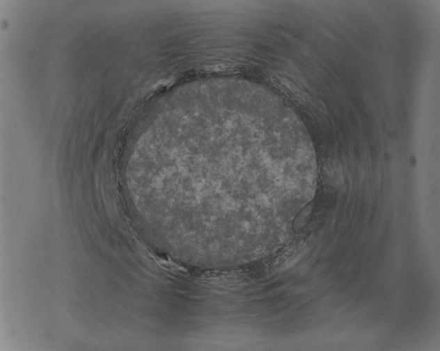 X0000071790817200607211620