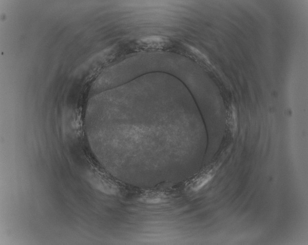 X0000071790818200607211620