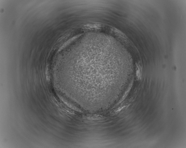 X0000071790819200607211620