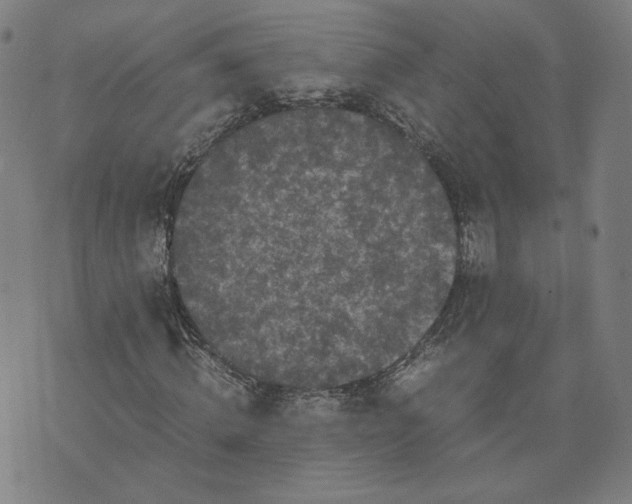 X0000071790820200607211620