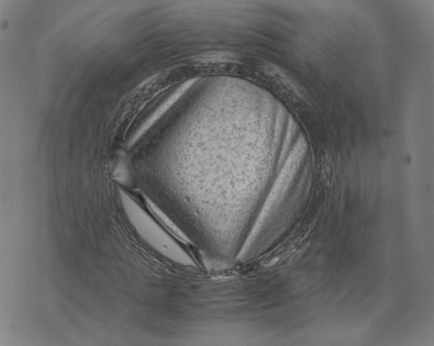 X0000071790821200607211620