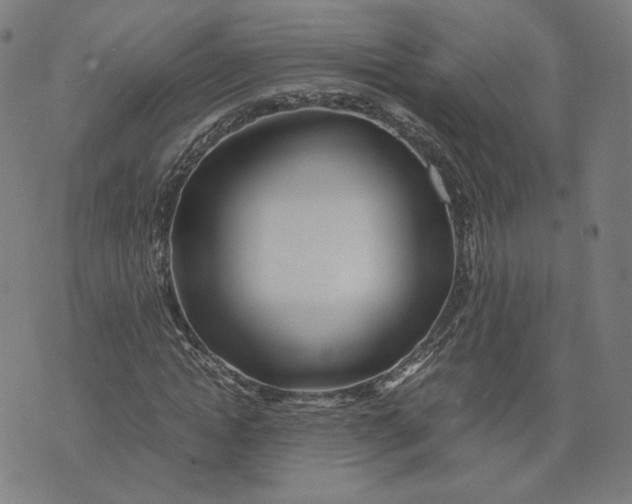 X0000071790822200607211620