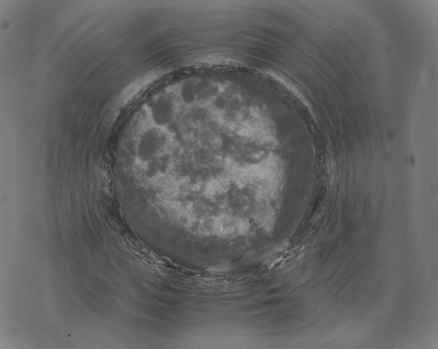 X0000071790823200607211620