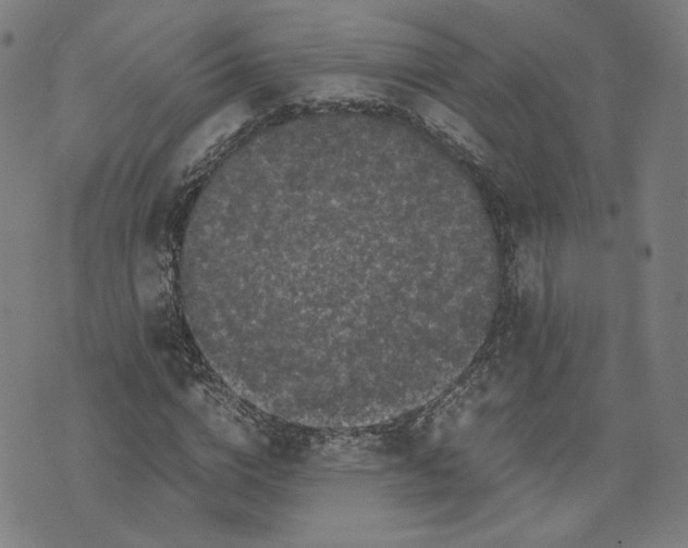 X0000071790824200607211620