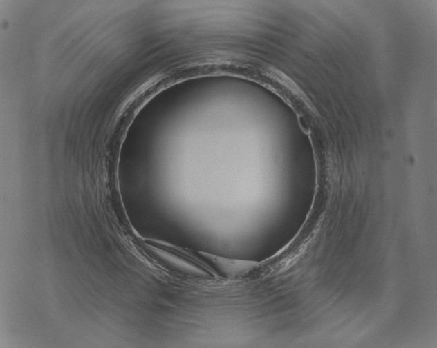 X0000071790826200607211620