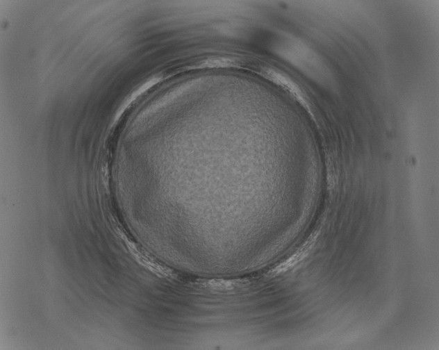 X0000071790827200607211620