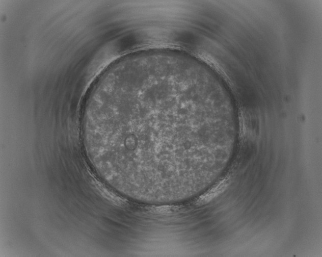 X0000071790828200607211620