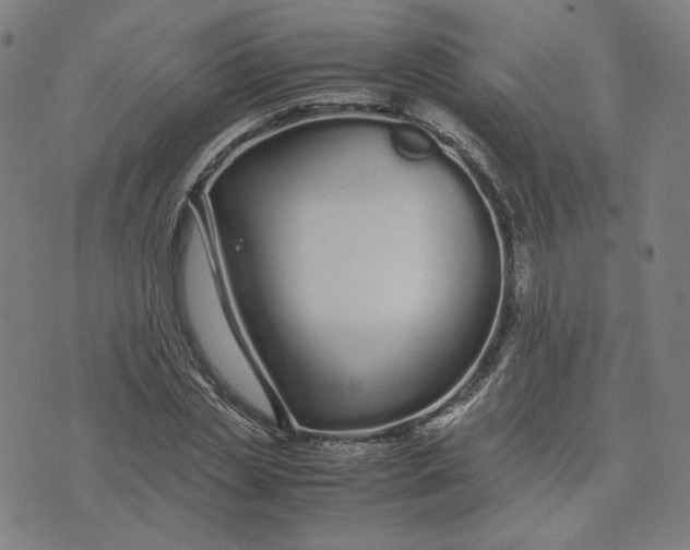 X0000071790829200607211620