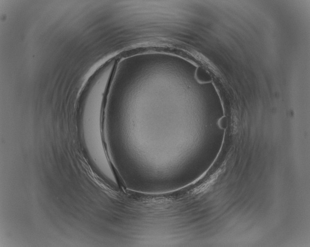 X0000071790830200607211620