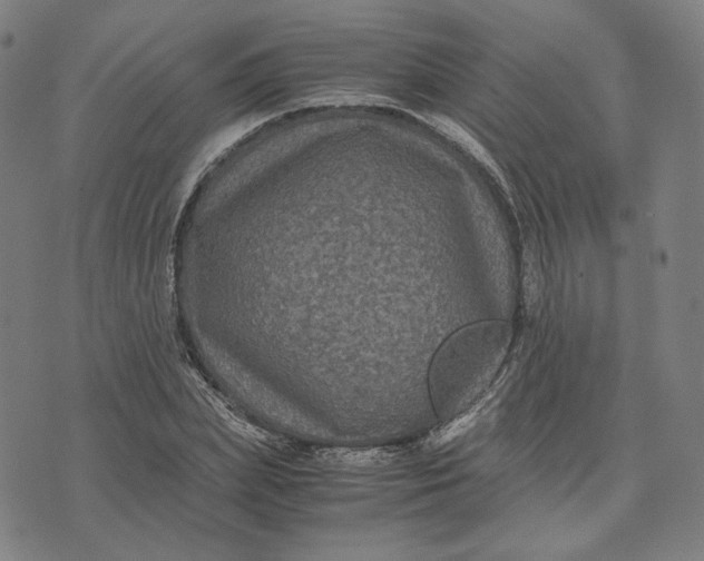 X0000071790831200607211620