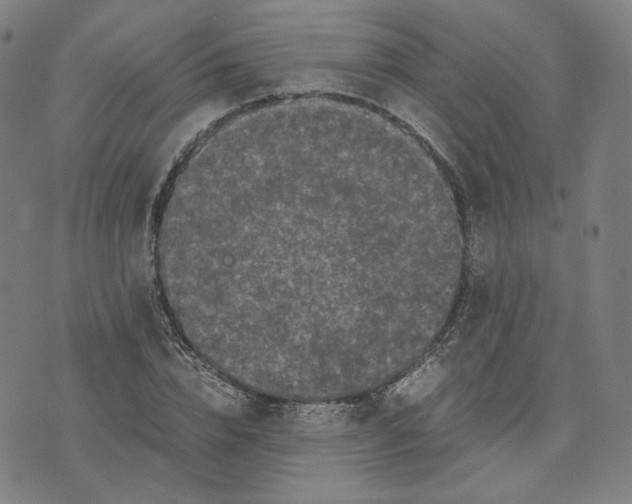 X0000071790832200607211620