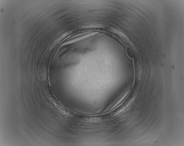 X0000071790833200607211620