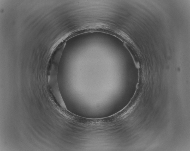 X0000071790834200607211620