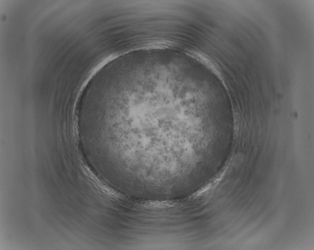 X0000071790835200607211620